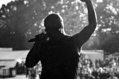 Bilder-Throwback-Vorlage