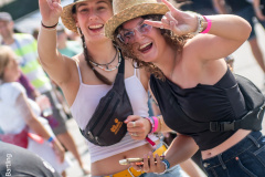Bilder-Throwback-Vorlage