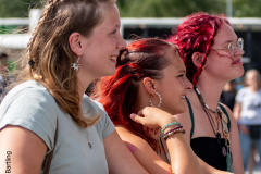 Bilder-Throwback-Vorlage