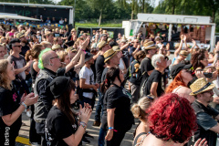 Bilder-Throwback-Vorlage
